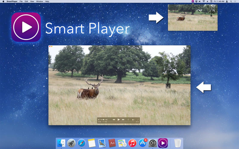 ����Ƶ������(Smart Player)����